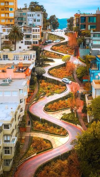 2D1N • San Francisco Round Tour: San Francisco + Golden Gate Bridge + Stanford + Silicon Valley 