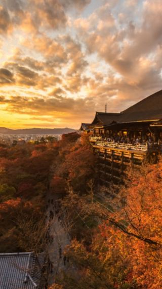 7D6N • Diverse Honshu Japan tour: Osaka + Kyoto + Mie + Mt. Fuji + Tokyo: Ancient Temples, Ninja & Ama Culture, Volcanic Scenery & City Exploration