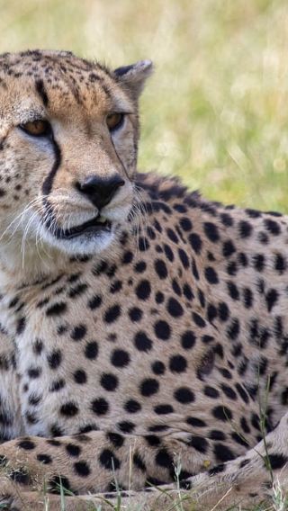 3D2N • Arusha: 3-Day Tarangire, Ngorongoro & Lake Manyara Safari