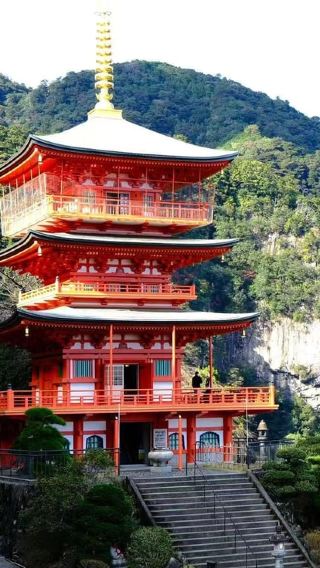 2D1N • Kumano Kodo 2-Day Hike: Nachi Shrine & Dual Pilgrim Trails