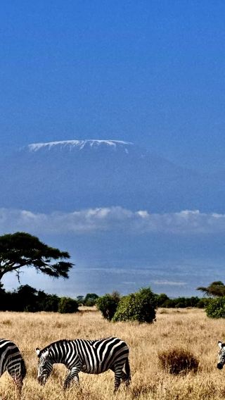 5D4N • Maasai Mara National Reserve + Lake Nakuru National Park + Lake Naivasha + Hells Gate National Park + Three national parks