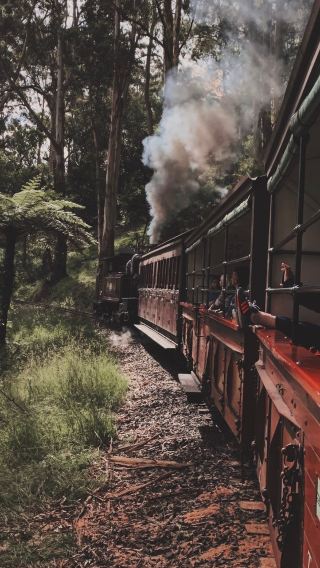 2日1晚 • 澳大利亞墨爾本蒸汽小火車＋菲利普島企鵝歸巢＋大洋路海岸線