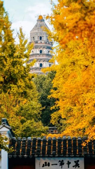 3D2N • China + Suzhou