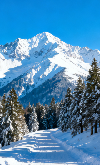 6D5N • Changbai Mountain Harbin Snow Town: a winter bestseller - comfortable group tour for 20 people