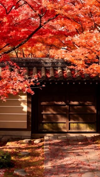 10D9N • Japan autumn foliage exploration: Kamikochi hiking + Tateyama Kurobe Alpine Route + Kyoto nighttime illumination + Nagoya Japanese Garden