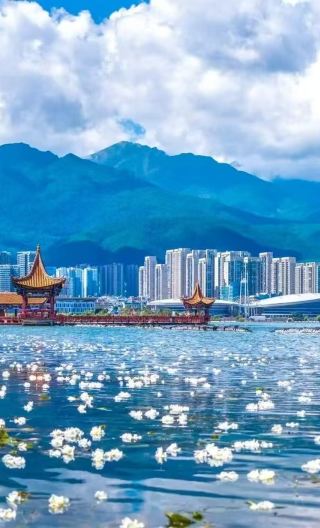 8D7N • Yunnan + Kunming + Dali City + Lijiang + Lugu Lake