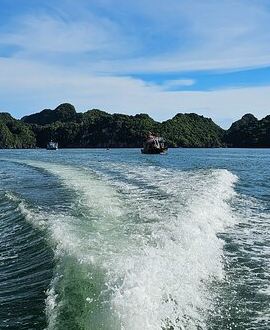2D1N • Lan Ha Bay Cruise private balcony: smallgroup, biking+kayak+meals
