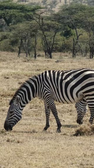 14D13N • Kenya + Tanzania