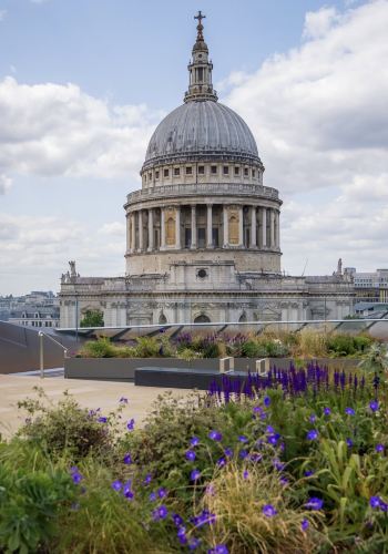 8D7N • Private tours of London and its surroundings.: London + Cambridge + Oxford + Windsor