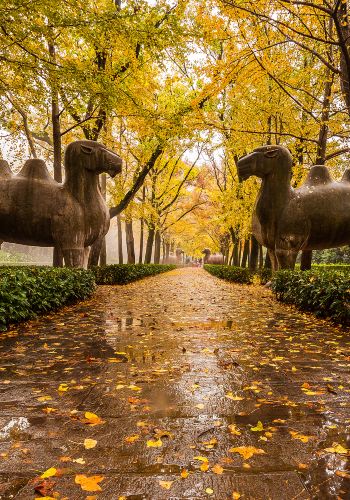 8D7N • The Bund + Slender West Lake + Nanjing Confucius Temple + Oriental Saltlake Resort: private car transfer, hotel options, no tourist traps