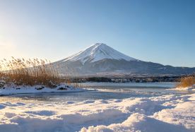 8D7N · Private Tours · Japan + Osaka + Kyoto + Mount Fuji + Tokyo free customized travel plans · If you're unsatisfied with the itinerary, we offer free customized travel plans. Message our customer service below for your tailor-made itinerary at no cost.
