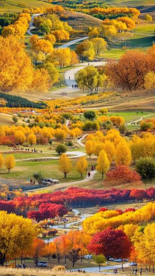 5D4N • Hulunbuir Ergun Genhe Mohe Arctic Village