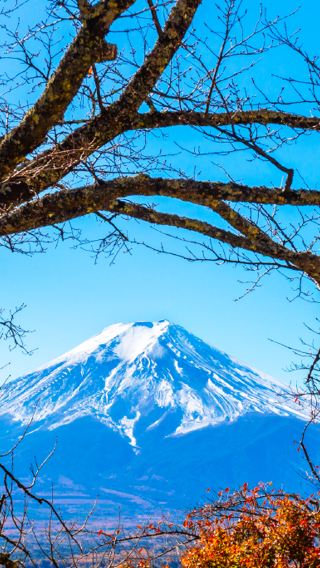 5D4N • Small Group Tour: Tokyo + Mt. Fuji
