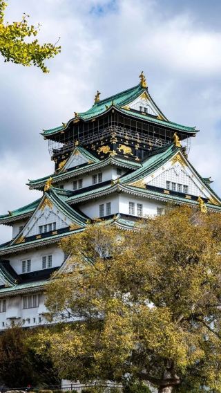 4D3N • Japan + Osaka + Kyoto