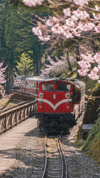 5天 • 樂遊台灣｜台北陽明山＋日月潭船遊＋阿里山小火車