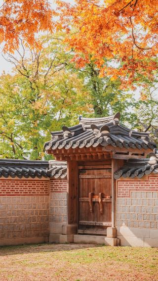 5天4晚 • 連假搶先卡位｜首爾盡情逛·樂天世界＋SEOUL SKY·明洞逛街·韓式DIY體驗5日｜無購物站