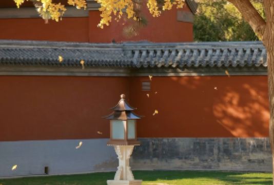 5日4晚 · 旅行團 · 故宮博物院+慕田峪長城+頤和園+奧林匹克公園·酒店入住核心繁華「2 環商圈」+無購物無自費含小費+導遊精講+赠黄包车感受胡同與四合院文化+觀雜技演出+3正餐含烤鴨