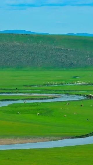 9D8N • Hulunbuir