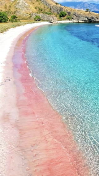 4D3N • Batu Mirror Cave + Blue Cave + Komodo Island + Pink Beach + Kalong Sunset