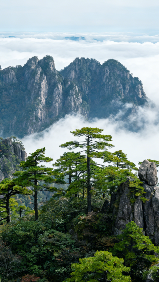 3天2晚 • 黃山風景區＋宏村景區｜