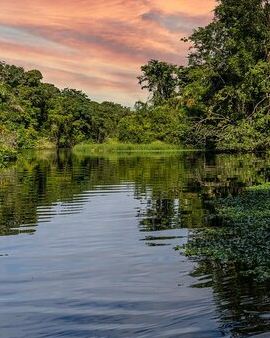 2D1N • Discover Tortuguero: 1 Night 2 Days All Inclusive Package