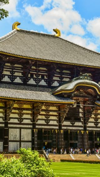 6D5N • Japan + Tokyo + Mount Fuji + Disneyland