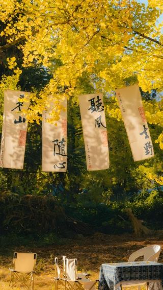 10天9晚 • 雲南昆明＋騰沖＋芒市＋西雙版納10天9夜小團拼團