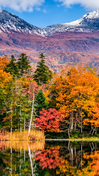 7D6N • Hokkaido summer and autumn journey from Tokachi, Kushiro, Shiretoko, Abashiri, Asahikawa to Sapporo