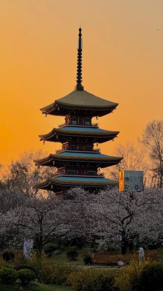 3天2晚 • 武漢＋恩施市