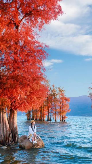 10D9N • Max 9-pax mini group: Yunnan + Kunming + Dali City + Lijiang + Shangri-La + Lugu Lake + Tiger Leaping Gorge