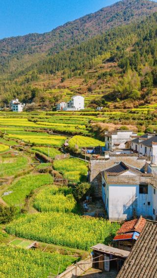 5D4N • Nanchang + Lushan National Park + Jingdezhen + Wuyuan + Vagoo Scenic Area