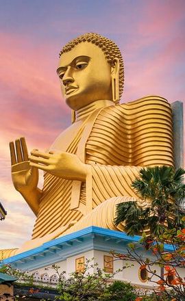 5D4N • 5 Days Private Tour of Sri Lanka with Transportation