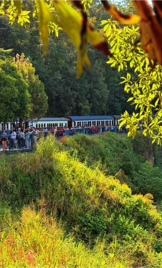 2D1N • Kuranda Rainforest + Great Barrier Reef Cruise, Australia
