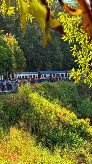 2D1N • Kuranda Rainforest + Great Barrier Reef Cruise, Australia