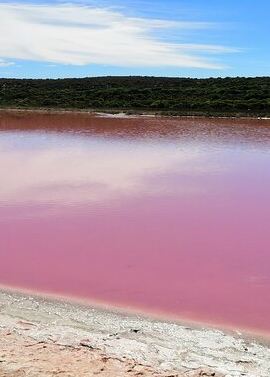 2D1N • 2 Days Kalbarri and Pink Lake Tour from Perth