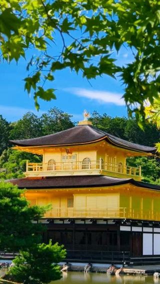 6D5N • Japan + Osaka + Kyoto + Mount Fuji + Tokyo