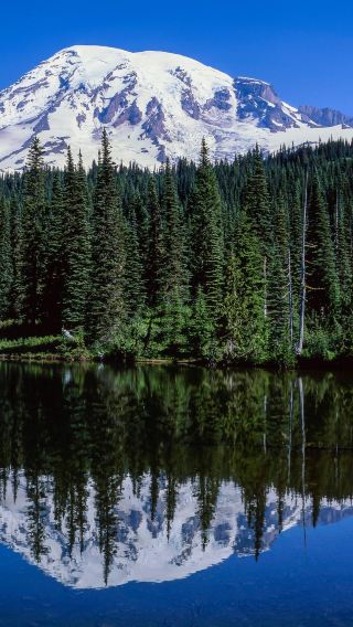 7D6N • United States + San Francisco + Crater Lake National Park + Redwood National and State Parks