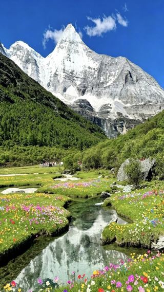 5D4N • Chengdu + Mount Siguniang + Batang Cuopu Valley + Yuzixi: Relaxed small-group tour with extra seating & Tibetan costume night photoshoot & snow mountain afternoon tea & visit Ding Zhen's hometown