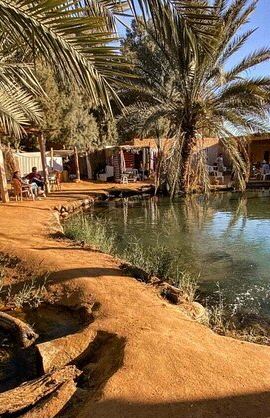 2D1N • 2 Days and 1 Night Excursion to Ksar Ghilane Under the Tent