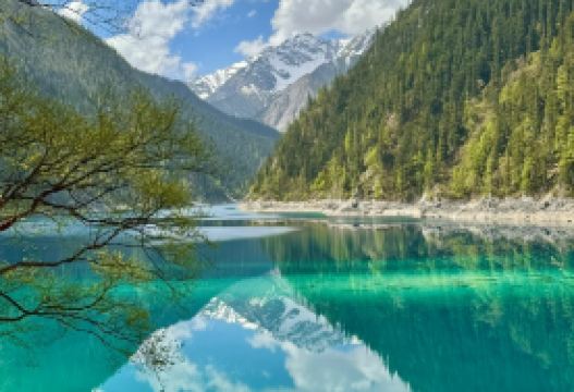 4-day 3-night · Group Tours · Jiuzhaigou National Park + Mount Siguniang · Join a eight-person small group tour with one empty seat and all scenic spot entrance tickets included. Enjoy a complimentary Dujiangyan guided tour, Jiuzhaigou travel photography, and round-trip high-speed rail tickets.