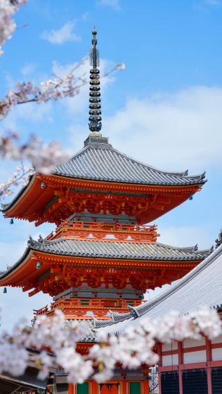 6D5N • Year Round Kyoto Temple Tour: Ancient Shrine Riverside Stroll Experience + Kyoto City Central Hotel Stay + Fushimi Inari Nijo Castle Landmarks + Mount Hiei Temple Season Highlight