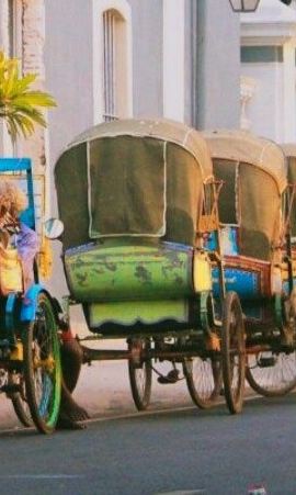 6D5N • Private 6 days Exotic Tamilnadu Tour from Chennai