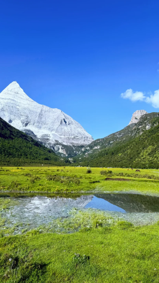 9D8N • Chengdu + Daocheng Yading + Mount Siguniang + Xinduqiao Town