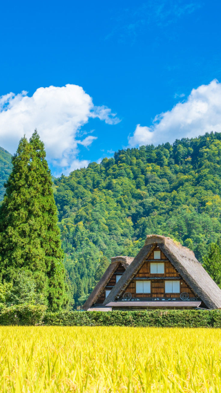 7D6N • Central Japan Heritage Escape: Takayama Old Town, Shirakawa-go Village, Kanazawa Gardens, Gero Onsen & Nagoya Highlights