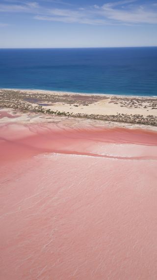 5D4N • Perth + Hutt Lagoon + Rottnest Island + Margaret River + Wave Rock