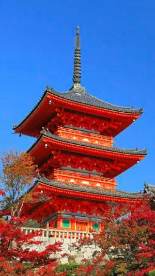 7D6N • Japan Osaka + Kyoto + Kobe + Nara + USJ. 9-person deluxe tour.  Includes Sagano Train + Abeno Harukas 300