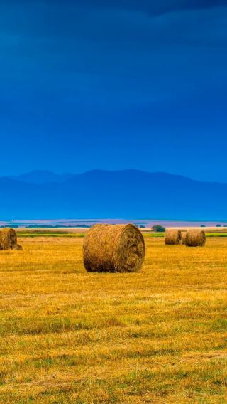 12D11N • North Xinjiang escape: Duku Highway & Nalati Grassland with scenic afternoon tea, drone vlog & lake shuttle
