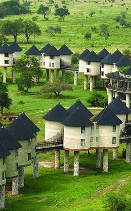 2D1N • 2-Day Safari in Taita Hills from Mombasa