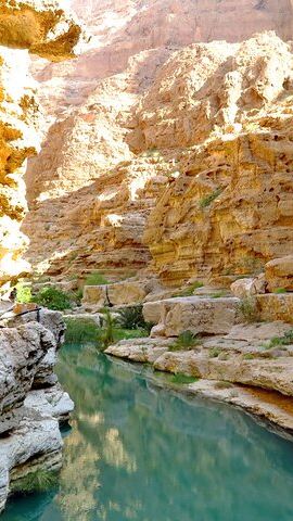 2D1N • 2 Day Private Trip to Two Oasis with Overnight Desert Camping