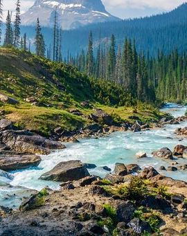 3D2N • Vancouver to Emerald Lake Road Bus Trip 3 Days